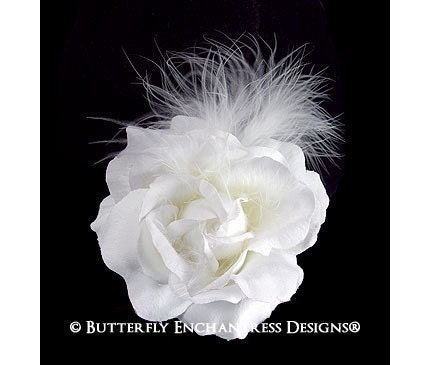 beautiful white rose flowers. White Rose Flower Feather