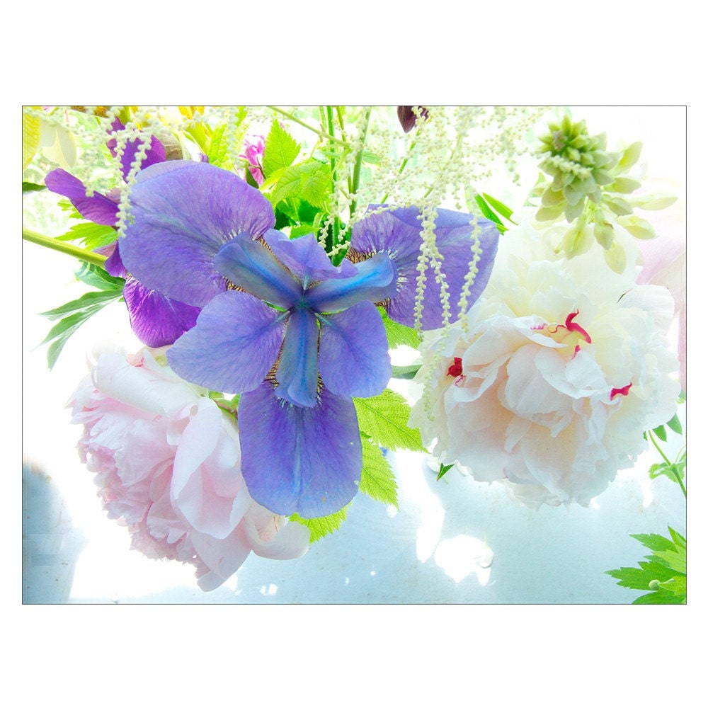 Siberian Iris, Fine Art Photograph of Iris Bouquet