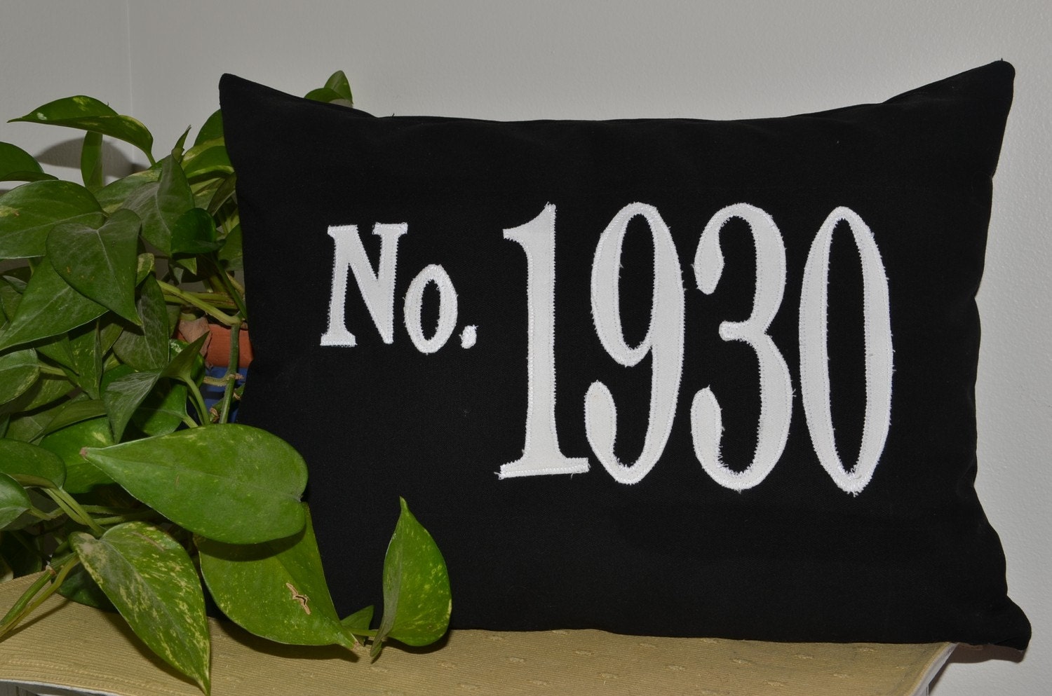 House Number Pillow
