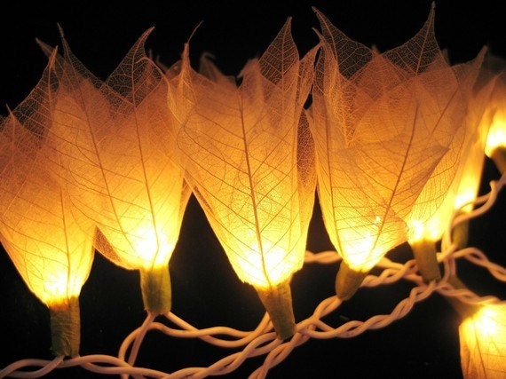Ivory 20 Bulbs string light home decoration..