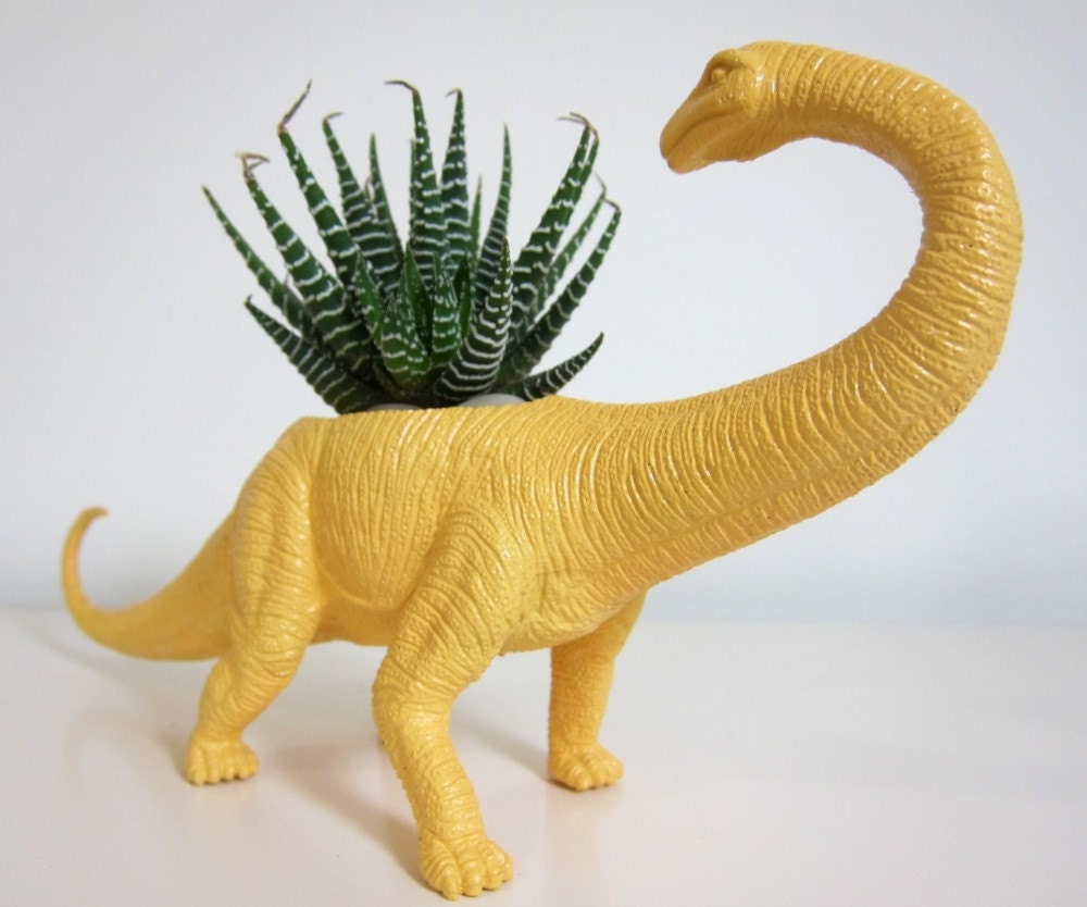 Beatrice the Apatosaurus Planter & Succulent