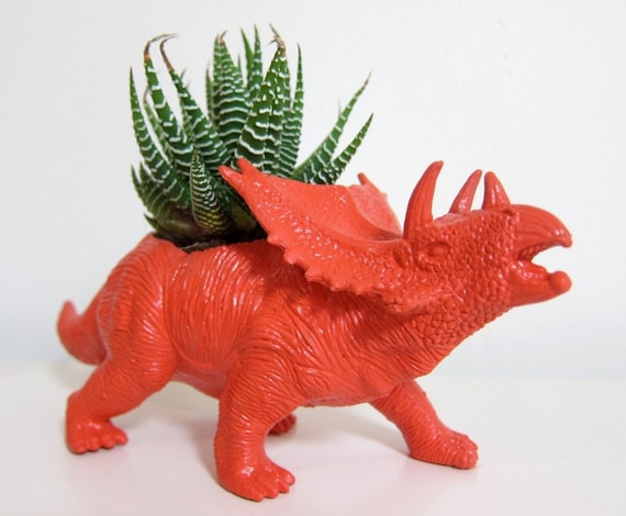 Zach the Triceratops Planter & Succulent