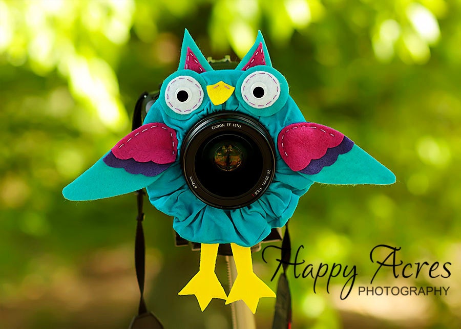 Lens Bling - Pet Blue Pink Owl