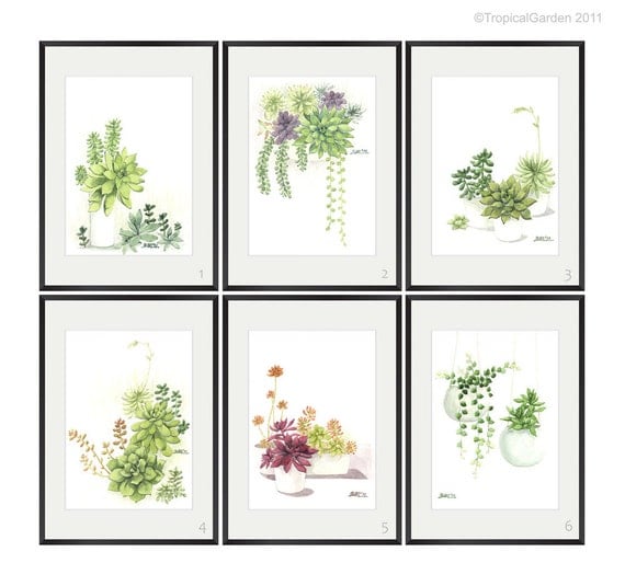 Succulents - Set of Four 8'x11.5' Fine Art Prints
