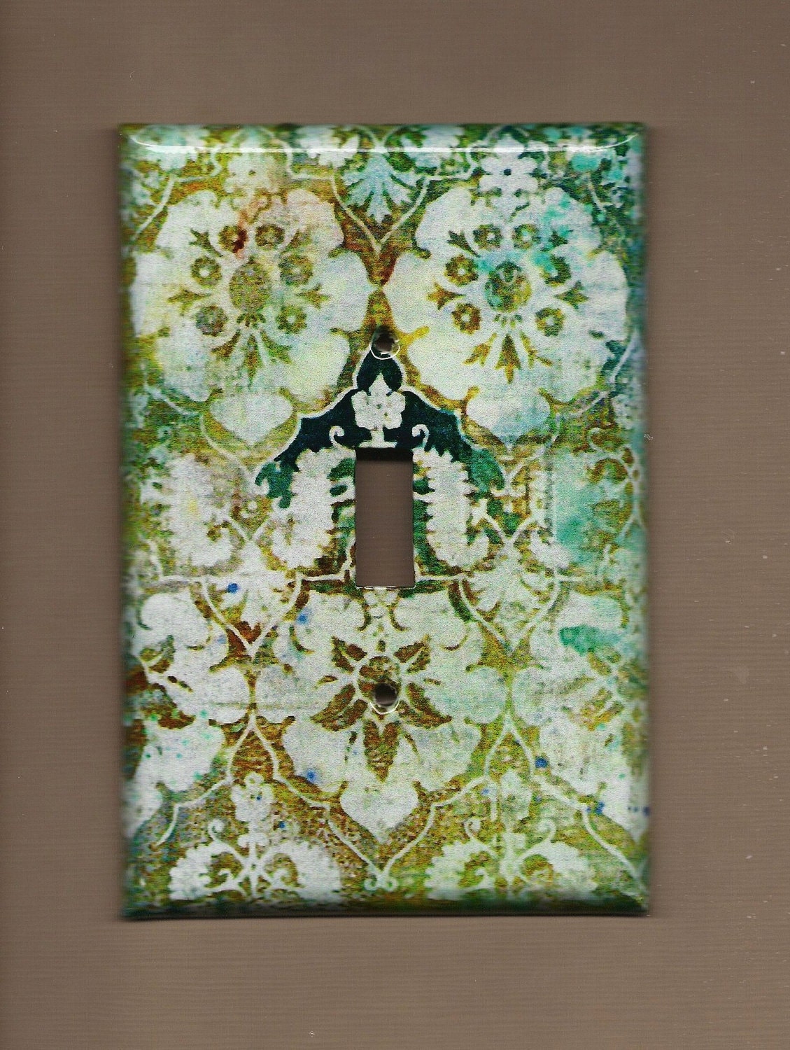 Aqua II Switchplate cover