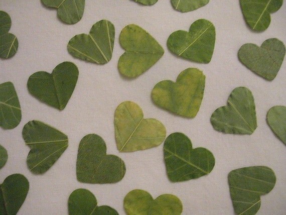 REAL LEAVES Heart Confetti