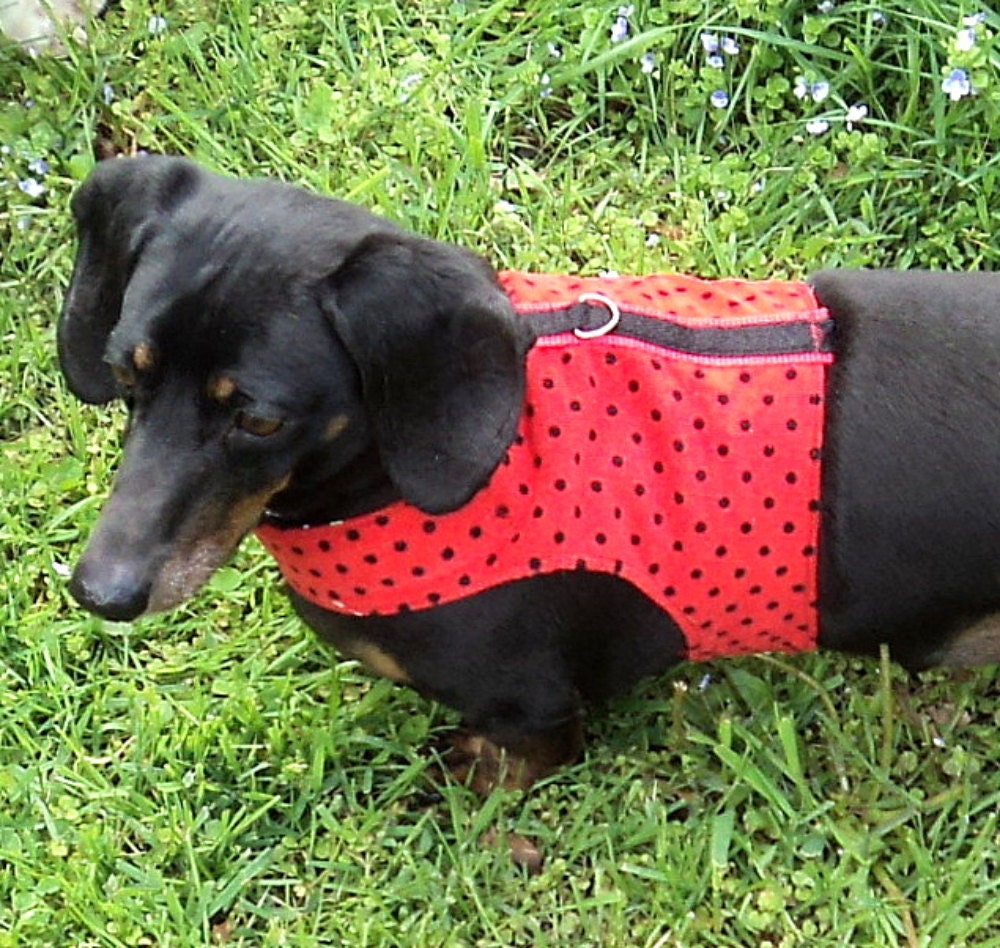 Small dog harness adjustable reversible in red and black with robots and polkadots