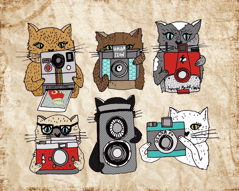 Cats Love Cameras  8x10 Print