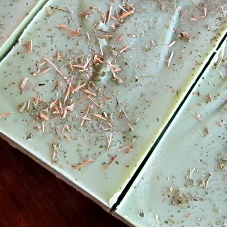 Rustic Pine, crisp clean scent cold process soap BIG 6 oz. bars, scented with essential oils