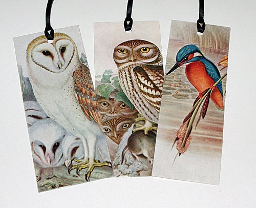 Three 1950s Bird Bookmarks - Upcycled Owl and Kingfisher Bookplates