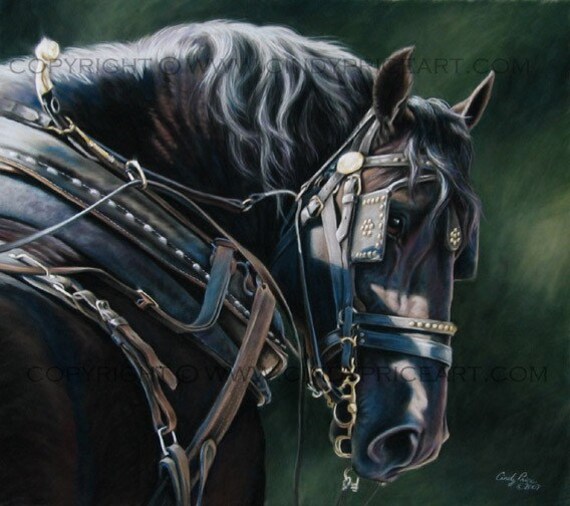 horse pictures to print. Draft Horse in Harness Print