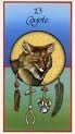 meet your TOTEM AMINAL and have it revealed to you,What animal influences your life