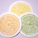 A Day in May Lemon, Lime and Ornage Coasters set of 12 ( 4 each color)
