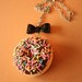 Rainbow sprinkle chocolate doughnut/donut necklace