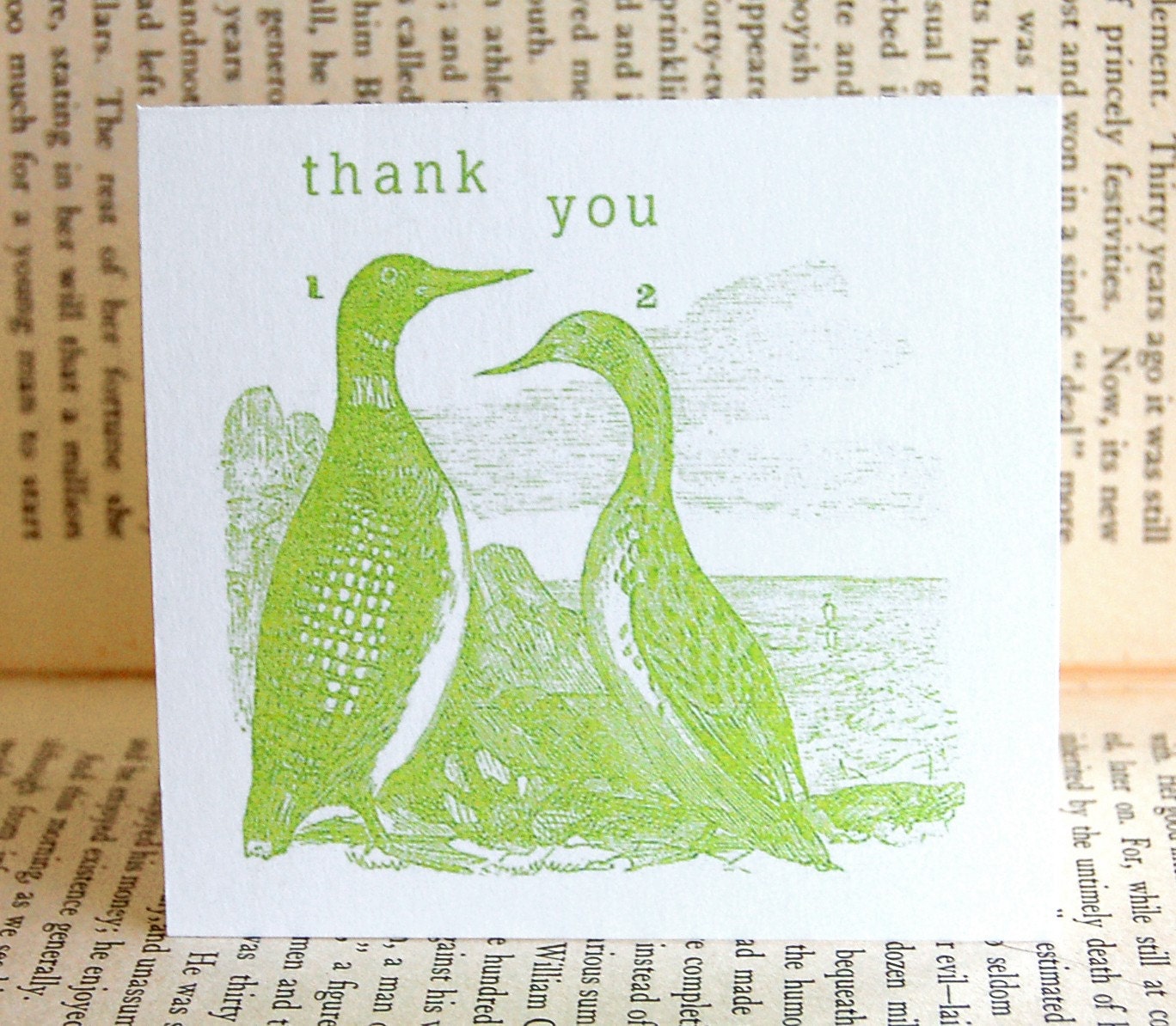 The Ducks Thank You Note Cards