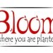 Bloom Where You Are Planted. Art, vinyl lettering, wall decal.--Written On The Wall