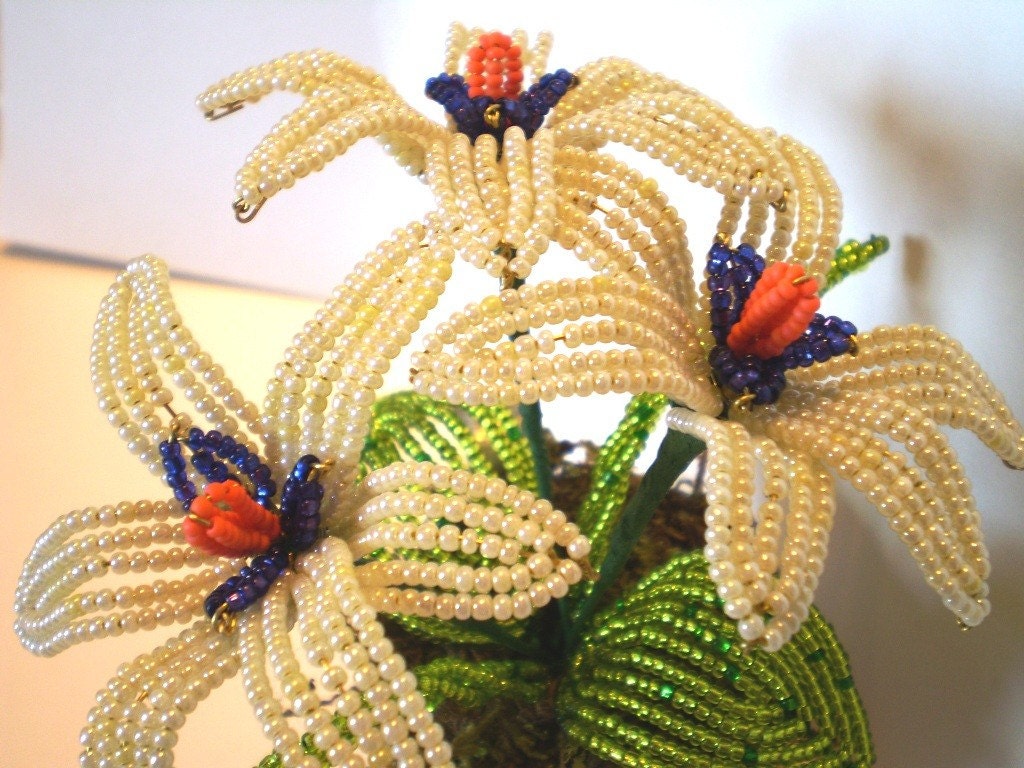 Beaded Harvest lily