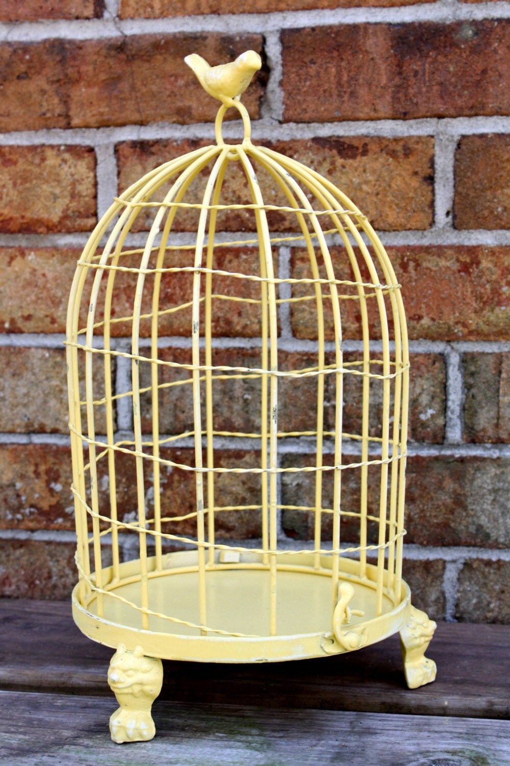 Lemony Yellow Bird Cage