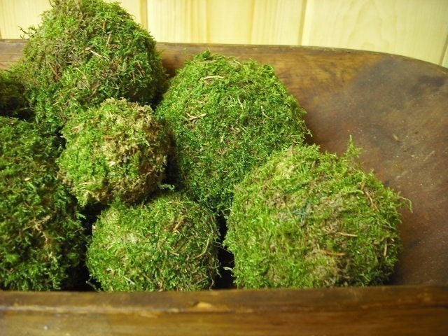 Moss balls, set of 9 assorted sizes