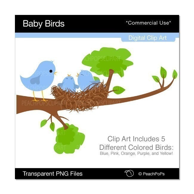 Baby Birds - Digital Clip Art