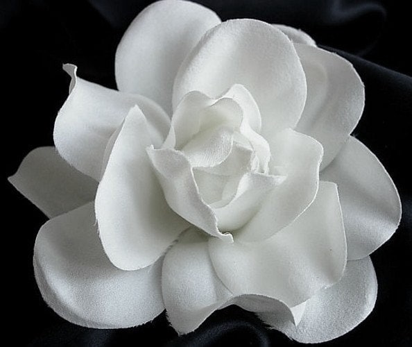 White Gardenia Flower Bridal