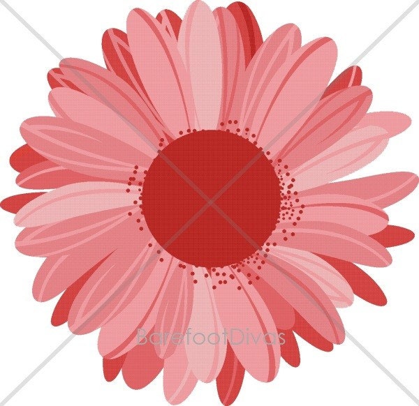 clipart flower pink. Gerbera Daisy Flower- Clipart