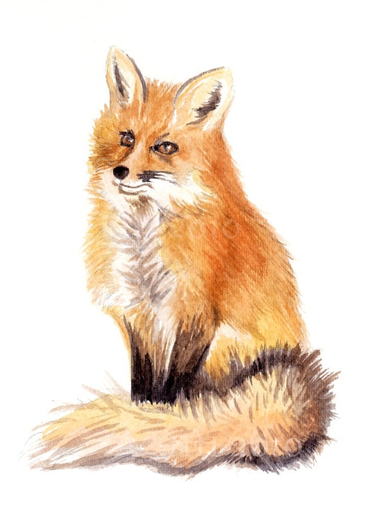red fox sitting. Sitting Red Fox Watercolor