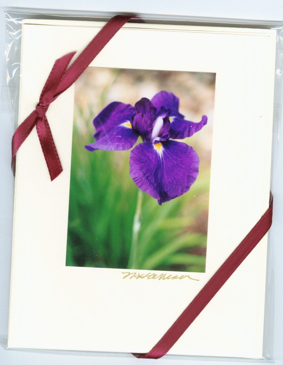 MOTHER'S DAY GREAT GIFT 5 Blue Iris Notecards