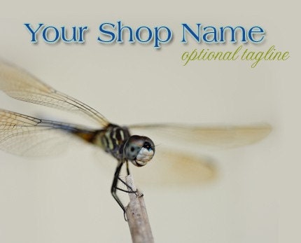 Free Clip Art Dragonfly. clipart image Page dragon