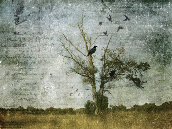 Print of blackbirds in tree