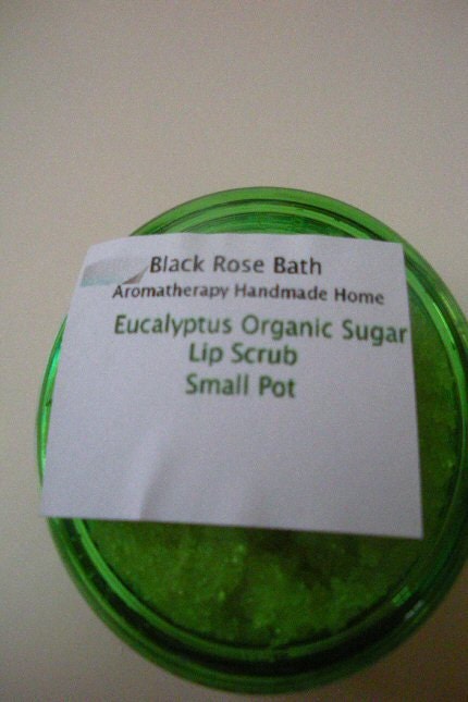 Eucalyptus Organic Sugar Lip Scrub- Small Pot