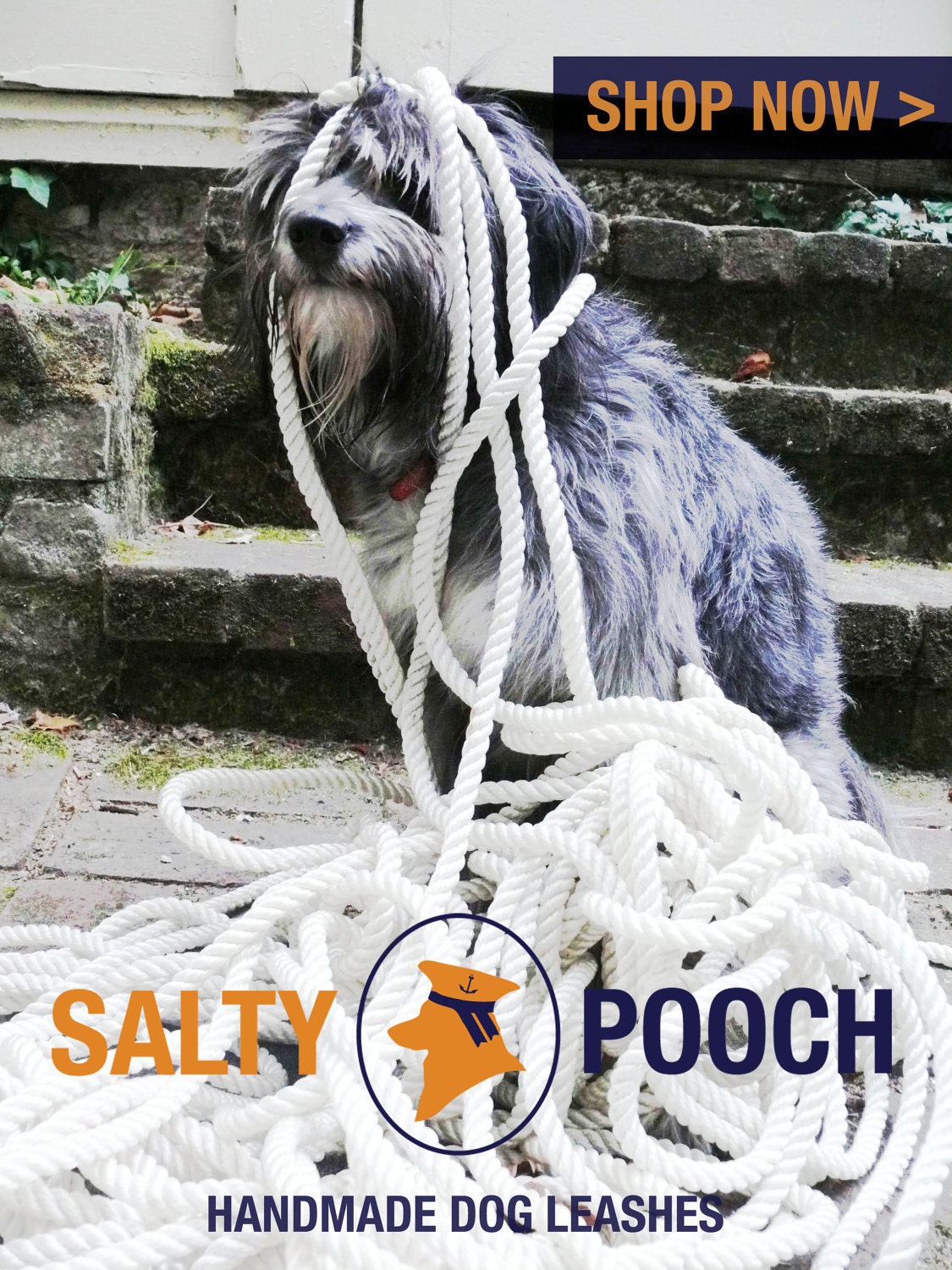 salty pooch handmade leashes