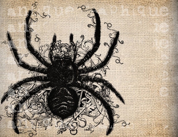 Antique Fancy Ornate Spider Web Halloween Illustration Digital Download for Papercrafts, Transfer, Pillows, etc Burlap No 2755