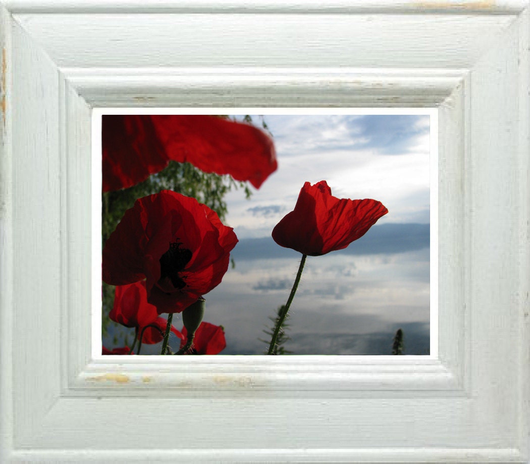 Red poppies by the lake - Fine Art Photography - wall art - limited edition 1/20