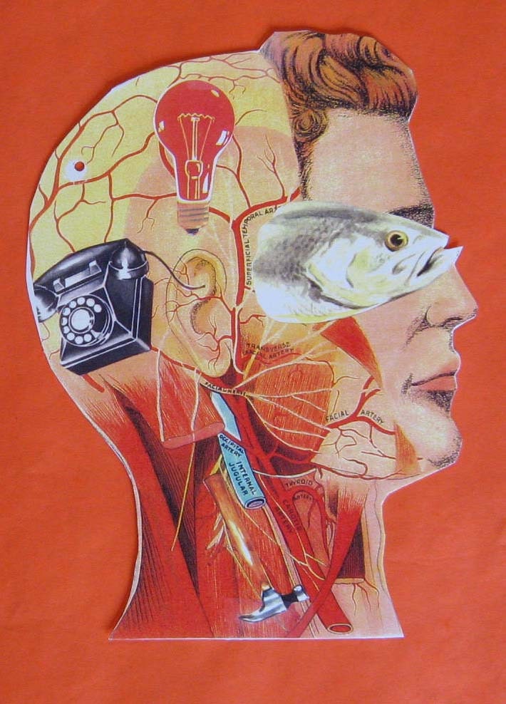True Anatomy - A Visual Chart of the Actual Workings of the Human Mind