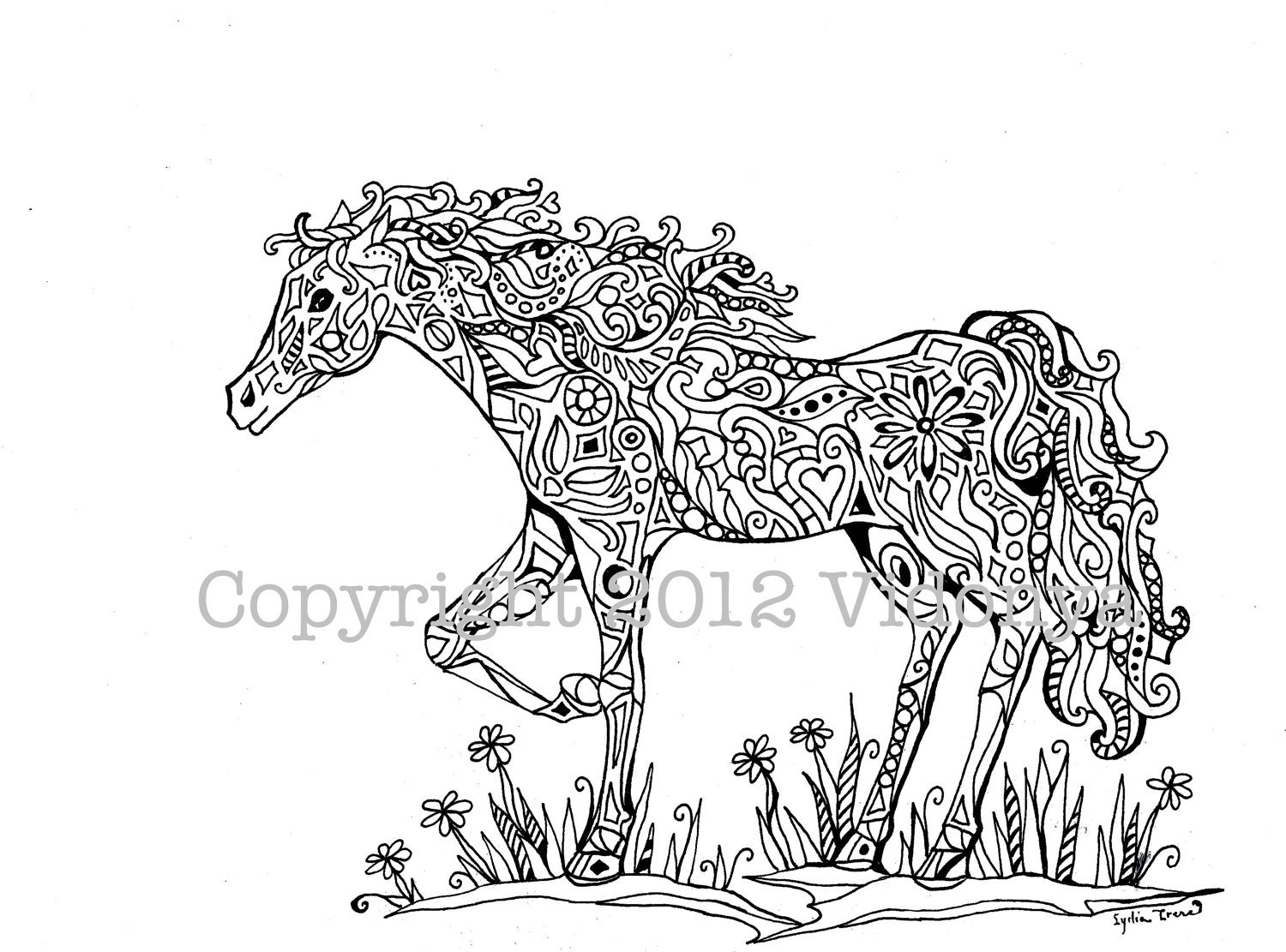 paint horse coloring pages advanced - photo #44