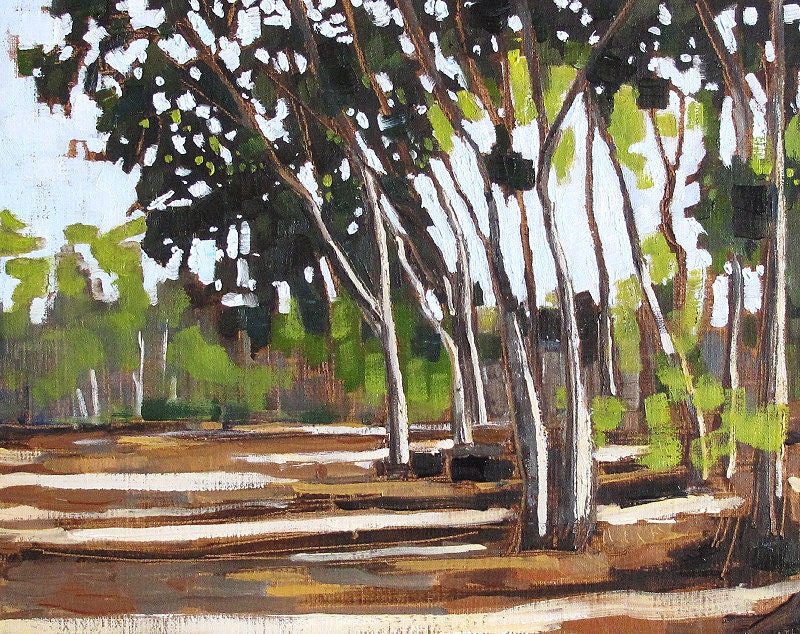 San Diego Eucalyptus Trees- Landscape Oil Painting