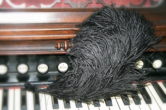 a black flouncy edwardian ostrich feather